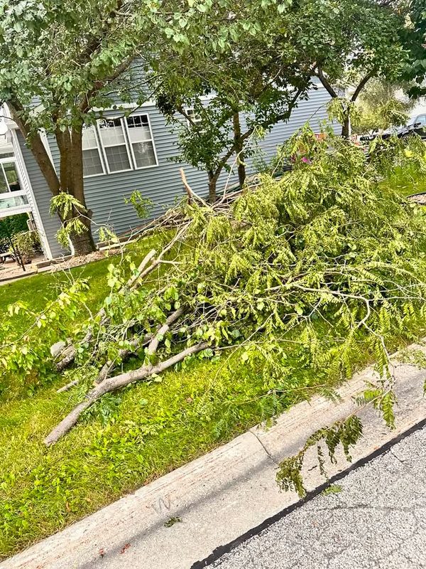 Brush and tree limbs stacked at the curb in front of a house